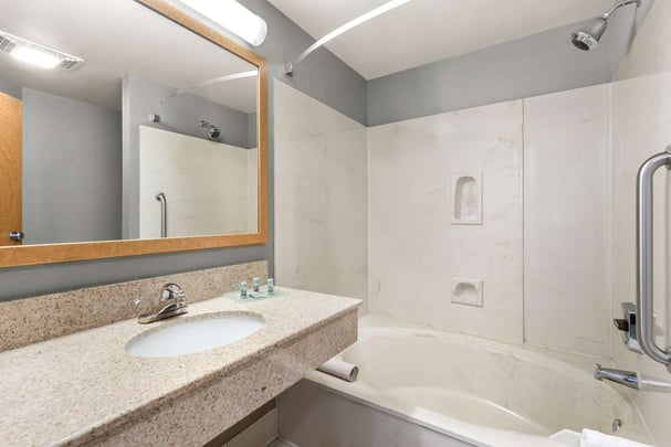 King Suite Kitchenette