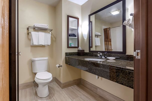 Accessible Bathroom