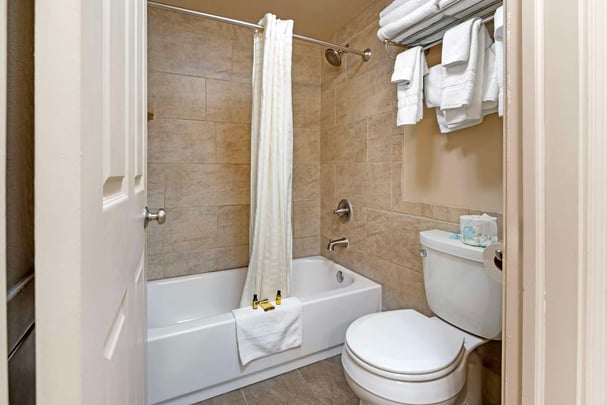 Double Queen Sofabed