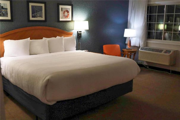 Apartment with King Bed and Kitchen