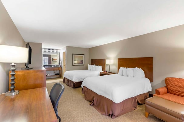 BW Cotton Tree WY QQN