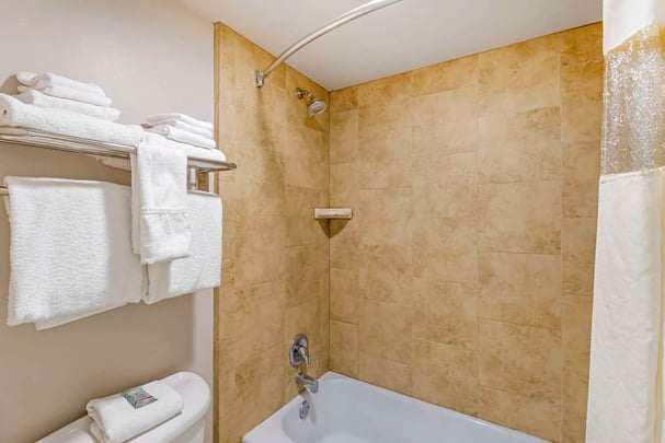 BW Cotton Tree WY QQN