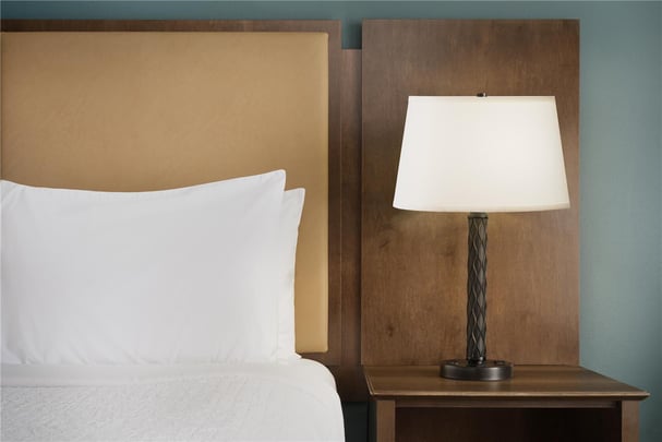 ADA - 1 King Bed w/ Roll In Shower