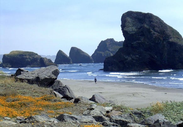 Oregon Coast Line