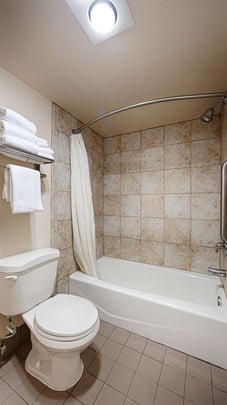 Shower-Tub Combo Bathroom