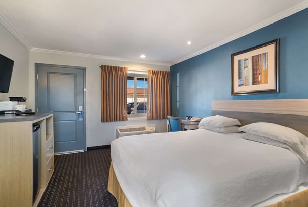 Single Queen Accessible Guestroom