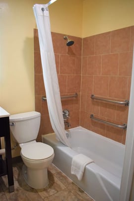 Mobility Accessible Guest Bathroom