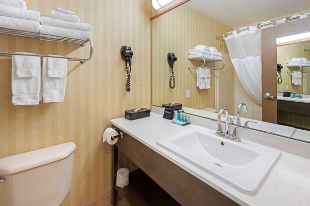 Guest Room Bathroom