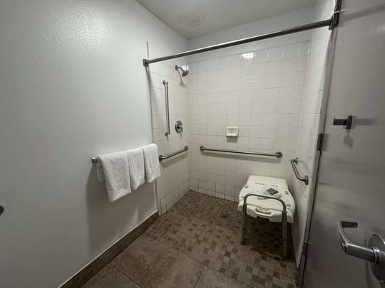 Guest Bathroom with Roll-In-Shower