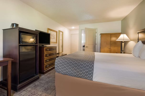 Mobility Accessible King Guestroom