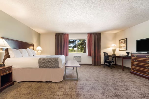 King Guestroom with Sofabed