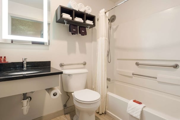 Mobility Accessible King Bathroom
