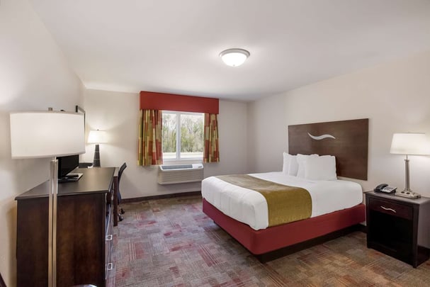 Mobility Accessible Queen Guestroom