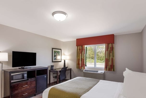 Mobility Accessible Queen Guestroom