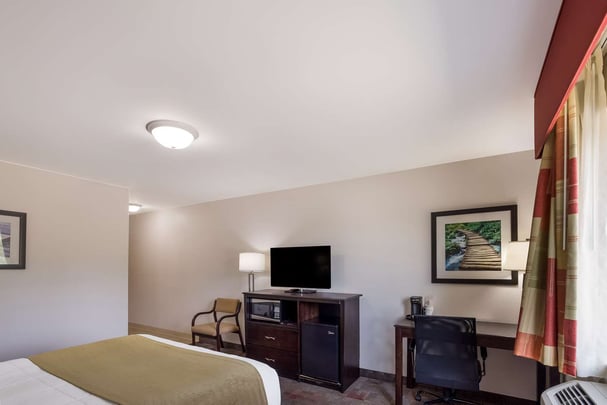 Mobility Accessible Queen Guestroom