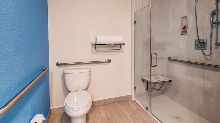 Accessible Roll In Shower