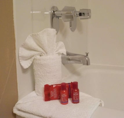 Standard Guest Bathroom Amenities