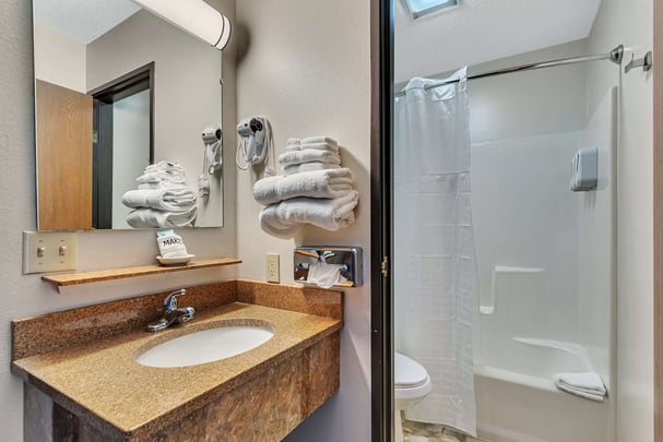 Lakeview Room Bathroom