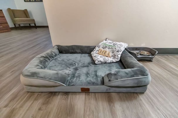 Pet Bed with blanket food water bowl