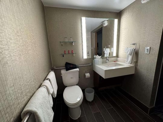 Mobility Accessible Guest Bathroom