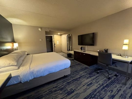Larger King Guestroom