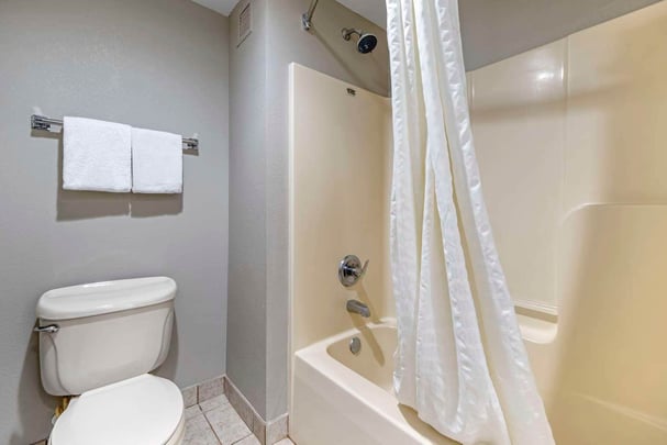 Guest Bathroom Suite King