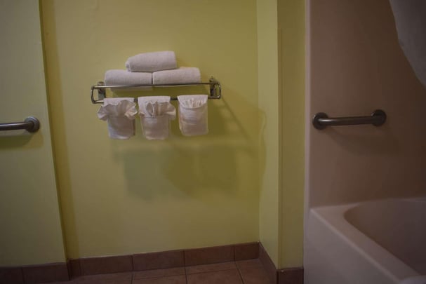 Accessible Bathroom Amenities
