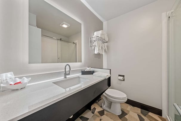Efficiency Guest Bathroom