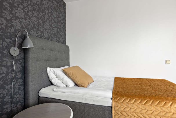 Hotel Falkoping Standard Single