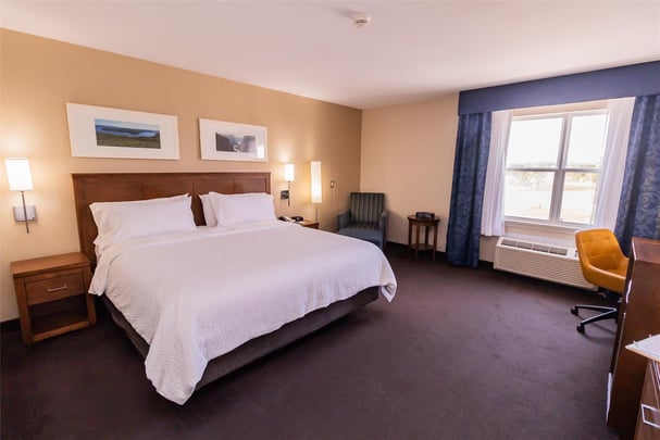 Mobility Accessible King Guestroom