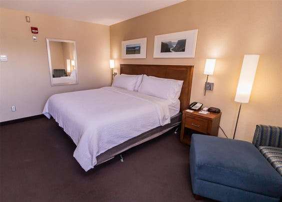 Mobility Accessible King Guestroom