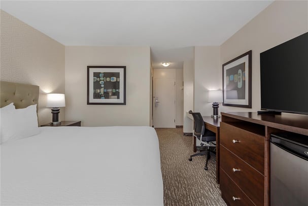 One Queen Guest Room