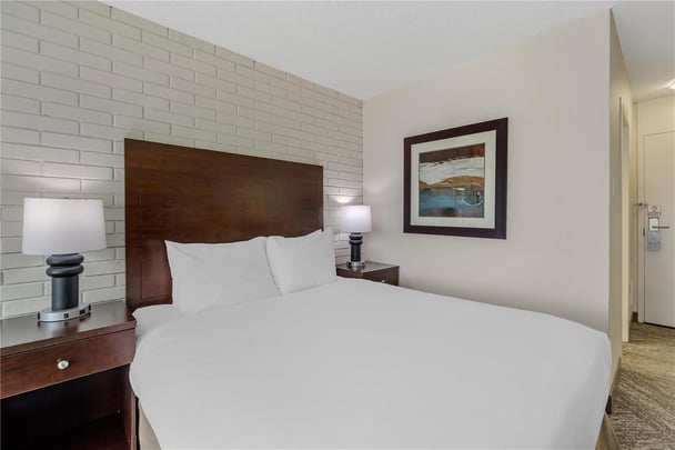 One Queen Guest Room