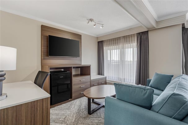 One King LRG SofaBed