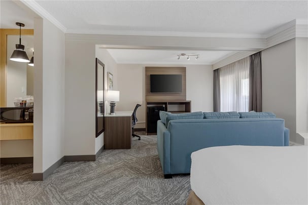 One King LRG SofaBed