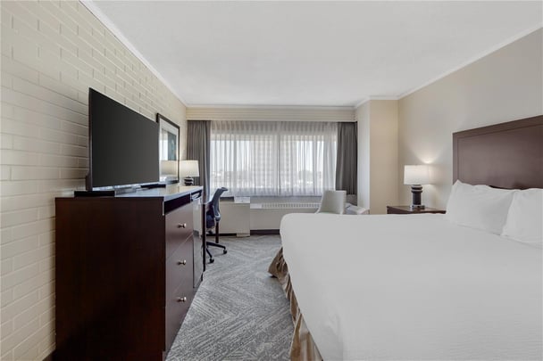 One Queen Guest Room