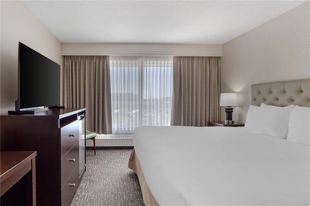 One Queen Guest Room