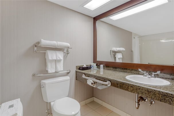 Accessible Bathroom