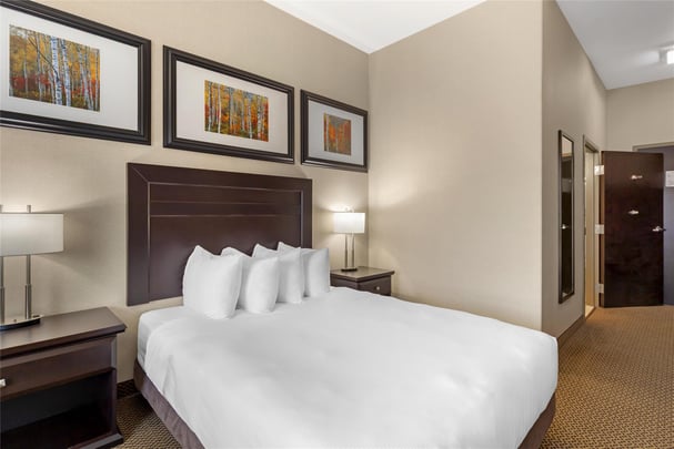 ADA - 1 Queen Bed w/ Roll In Shower