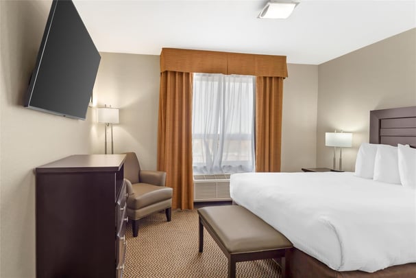 Suite - 1 Queen Bed w/ Wet Bar