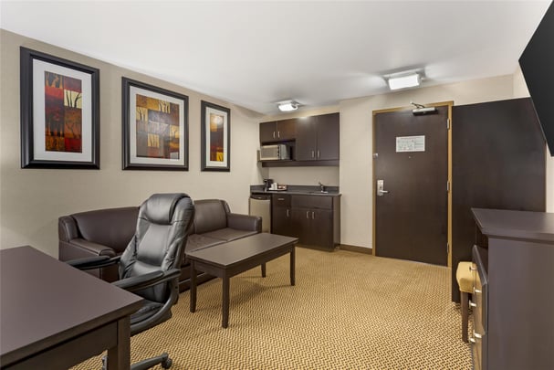 Suite - 1 Queen Bed w/ Wet Bar