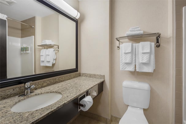 Suite - 1 King Bed w/ Whirlpool