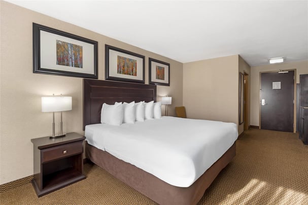 Suite - 1 King 1 Queen