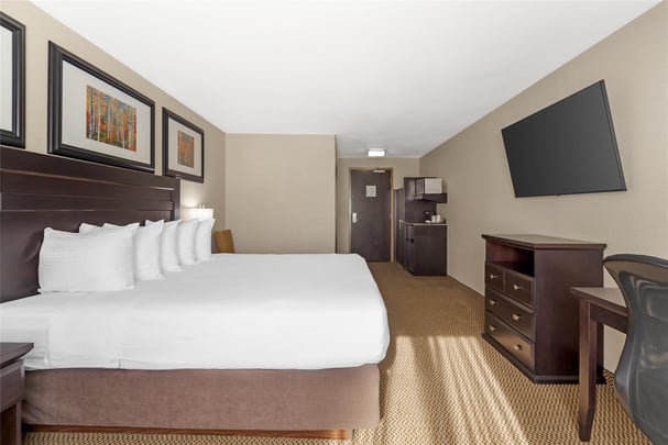 Suite - 1 King 1 Queen