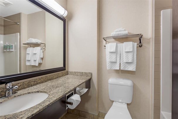 Suite - 1 King 1 Queen