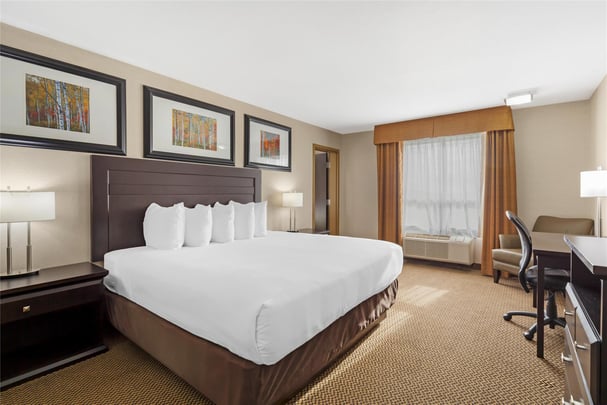 Suite - 1 King 2 Singles