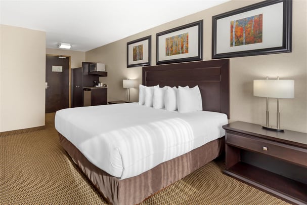 Suite - 1 King 2 Singles