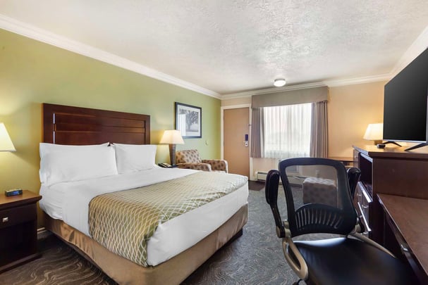 Queen Pet-Friendly Guest Room