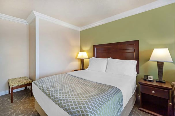 Queen Pet-Friendly Guest Room