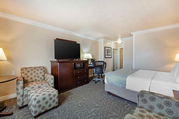Queen Pet-Friendly Guest Room